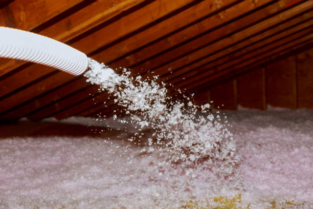 Best Local Insulation Services  in Solvay, NY
