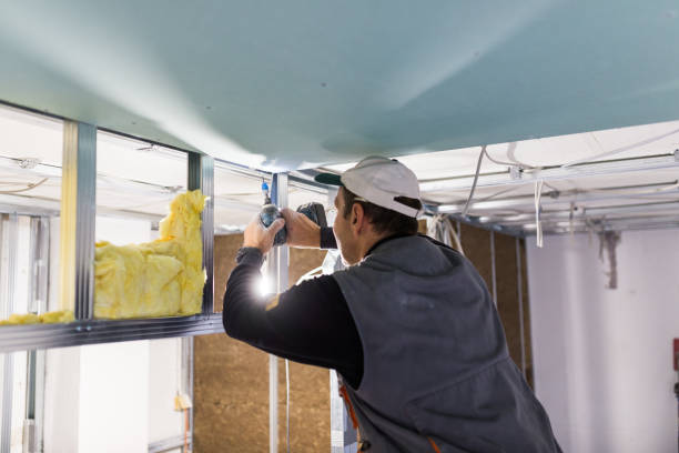 Insulation Repair Services in Solvay, NY
