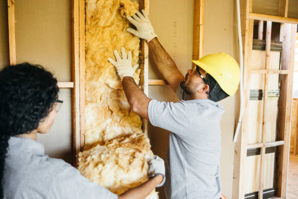 Best Blown-in Insulation  in Solvay, NY