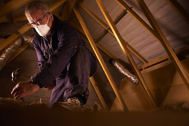 Best Energy-efficient Insulation  in Solvay, NY